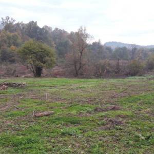 B.RIJEKA: POLJOP ZEMLJIŠTE, 3 HA UZ POTOK,  BREŽULJCI, ŠUME, RIJEKA