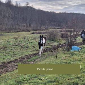 B.RIJEKA: POLJOP ZEMLJIŠTE, 3 HA UZ POTOK,  BREŽULJCI, ŠUME, RIJEKA