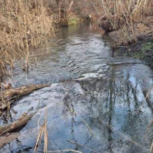 B.RIJEKA: POLJOP ZEMLJIŠTE, 3 HA UZ POTOK,  BREŽULJCI, ŠUME, RIJEKA