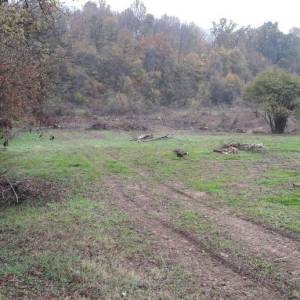 B.RIJEKA: POLJOP ZEMLJIŠTE, 3 HA UZ POTOK,  BREŽULJCI, ŠUME, RIJEKA