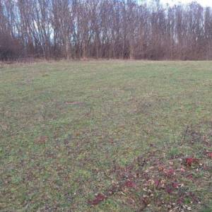 B.RIJEKA: POLJOP ZEMLJIŠTE, 3 HA UZ POTOK,  BREŽULJCI, ŠUME, RIJEKA