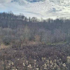 B.RIJEKA: POLJOP ZEMLJIŠTE, 3 HA UZ POTOK,  BREŽULJCI, ŠUME, RIJEKA