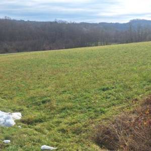 B.RIJEKA: POLJOP ZEMLJIŠTE, 3 HA UZ POTOK,  BREŽULJCI, ŠUME, RIJEKA