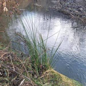 B.RIJEKA: POLJOP ZEMLJIŠTE, 3 HA UZ POTOK,  BREŽULJCI, ŠUME, RIJEKA