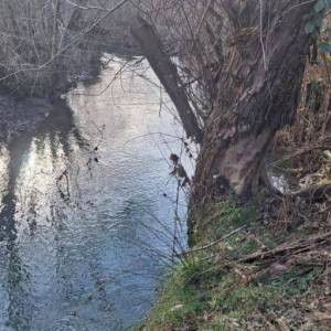 B.RIJEKA: POLJOP ZEMLJIŠTE, 3 HA UZ POTOK,  BREŽULJCI, ŠUME, RIJEKA