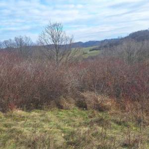 B.RIJEKA: POLJOP ZEMLJIŠTE, 3 HA UZ POTOK,  BREŽULJCI, ŠUME, RIJEKA