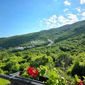 Brseč, dvojna kuća, terasa, konoba, okućnica