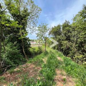 Brtonigla, građevinsko zemljište 1.620m2