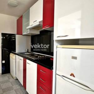 Bulevard, 1-soban s dnevnim boravkom, okućnica na korištenje