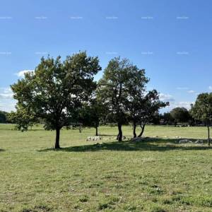 COKUNI, građevinski teren -