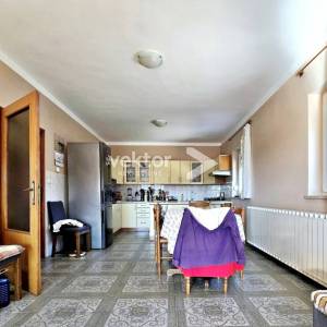 Drenova, obiteljska kuća sa dva stana i garažom