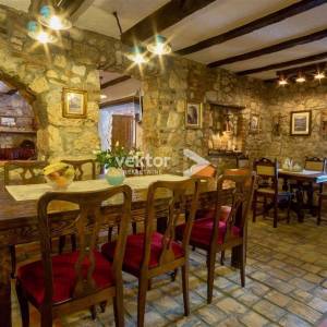 Drivenik, kamena kuća s bazenom 