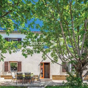 Drivenik, kuća s lijepom okućnicom, iznajmljivanje