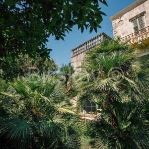 Dubrovnik, Zaton, prvi red do mora, kamena vila na 2.500m2 zemljišta