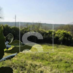 Dvije istarske kamene kuće s pogledom na zelenilo