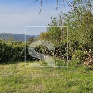 Dvije istarske kamene kuće s pogledom na zelenilo