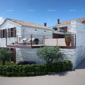 Dvije stare kamene kuce, Tinjan.