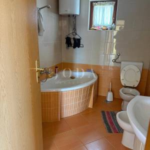 Dvojna kuća s poslovnim prostorom i garažom