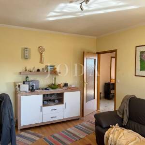 Dvojna kuća s poslovnim prostorom i garažom