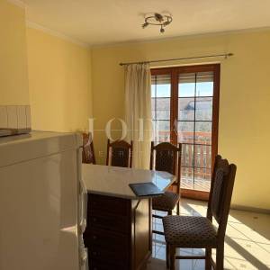 Dvojna kuća s poslovnim prostorom i garažom