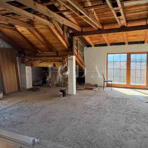 Dvojna kuća s poslovnim prostorom i garažom