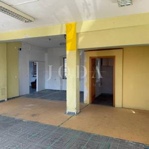 Dvojna kuća s poslovnim prostorom i garažom