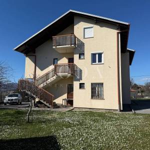 Dvojna kuća s poslovnim prostorom i garažom