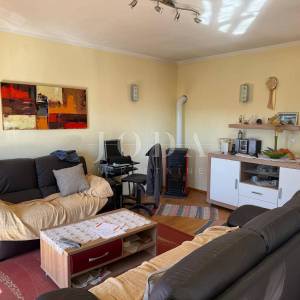 Dvojna kuća s poslovnim prostorom i garažom