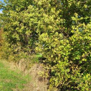 EKSKLUZIVNO! Građevinski teren, Radeki Polje