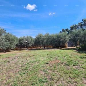 Galižana! Kamena vila s dvije dodatne kućice!