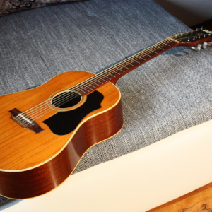 Gitara HOFNER model 492 (4900), 12 žica, iz 1964, antikvitet