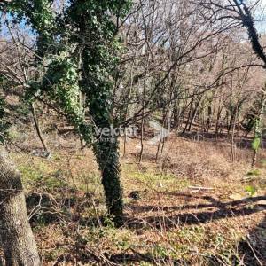 Gornja Drenova, zemljište za gradnju obiteljske kuće