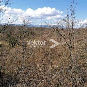 Gornja Drenova, zemljište 5870m2, za investiciju