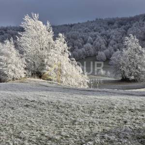 Gorski kotar, Begovo razdolje, građevinsko/poljoprivredno  zemljište