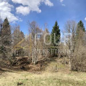 Gorski kotar, Crni Lug, građevinsko zemljište, 2.005m2, SAMO KOD NAS !