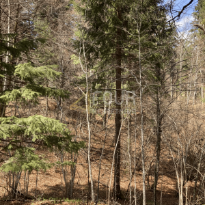 Gorski kotar, Crni Lug, građevinsko zemljište, 2.005m2, SAMO KOD NAS !