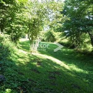 Gorski kotar, kuća, 200m od Kupe