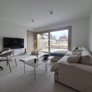 Gorski kotar, Ravna Gora, nova moderna vila s bazenom