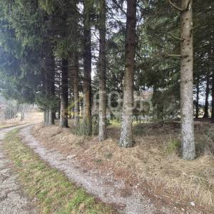 Gorski kotar, Ravna Gora, zemljište 2.957m2 - poslovna namjena