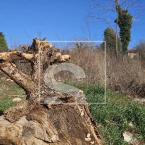 Građevinska parcela u mirnom naselju