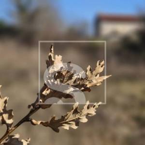 Građevinska parcela u mirnom naselju