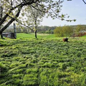 Građevinsko zemljište 1.730 m² –  Barban