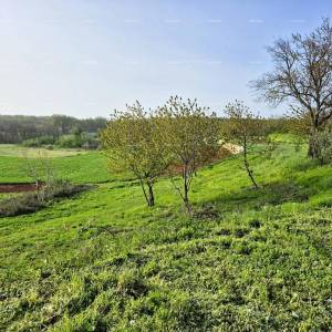 Građevinsko zemljište 1.730 m² –  Barban