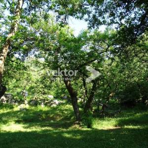 Građevinsko zemljište, Dobreć, 2740m2