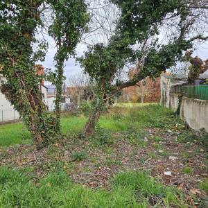 Građevinsko zemljište na frekventnoj lokaciji,Brtonigla