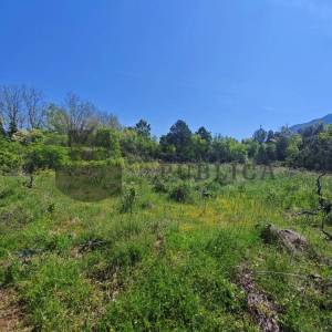 GRAĐEVINSKO ZEMLJIŠTE NA PELJEŠCU