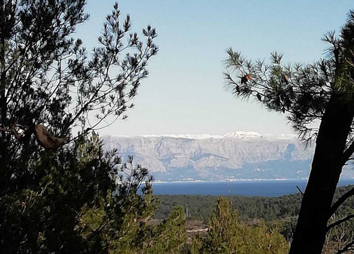 Hvar građevinsko zemljište sa idejnim projektom BEZ PROVIZIJE