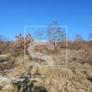 Idealno zemljište na izvrsnoj poziciji