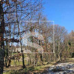 Idealno zemljište na izvrsnoj poziciji