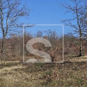 Idealno zemljište na izvrsnoj poziciji